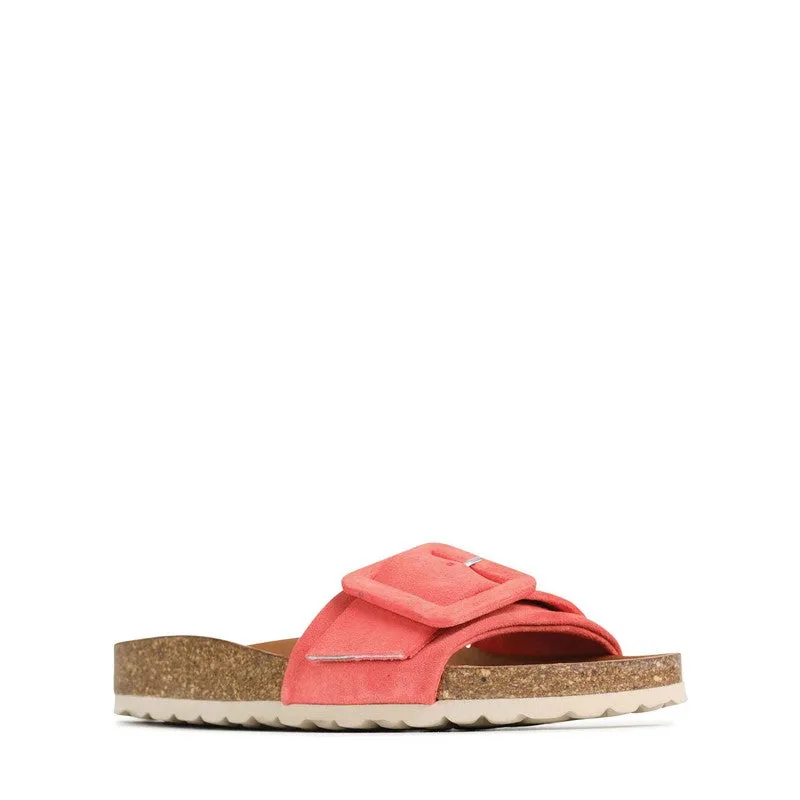 Eos Ginger Pink Slide